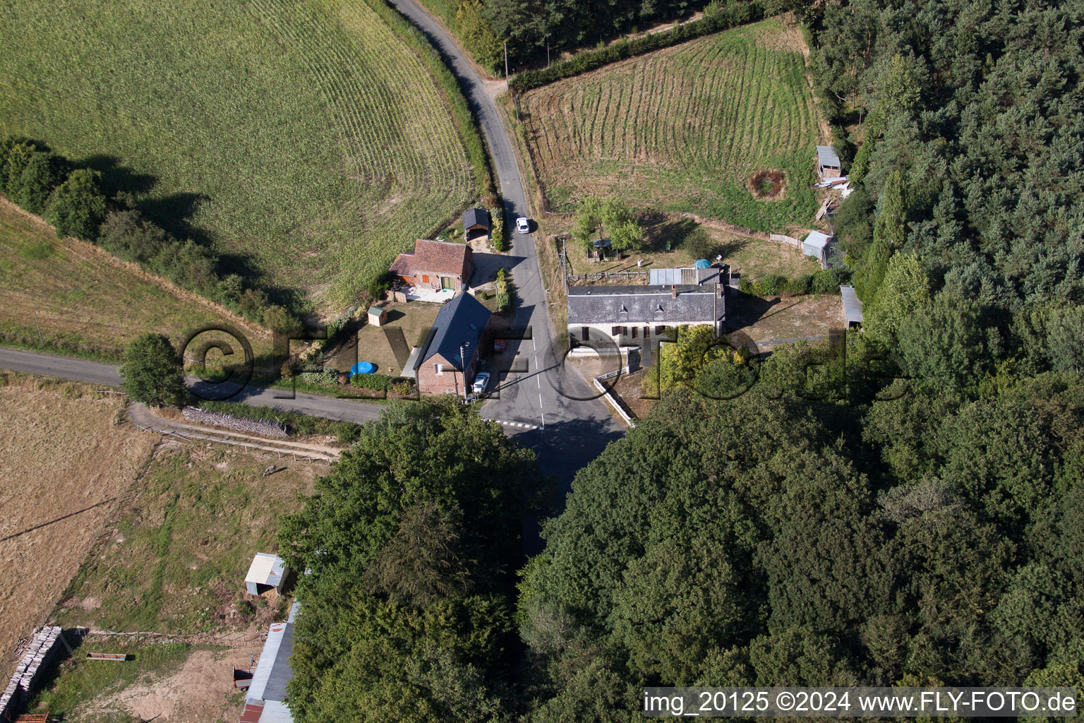 Semur-en-Vallon in the state Sarthe, France from the plane