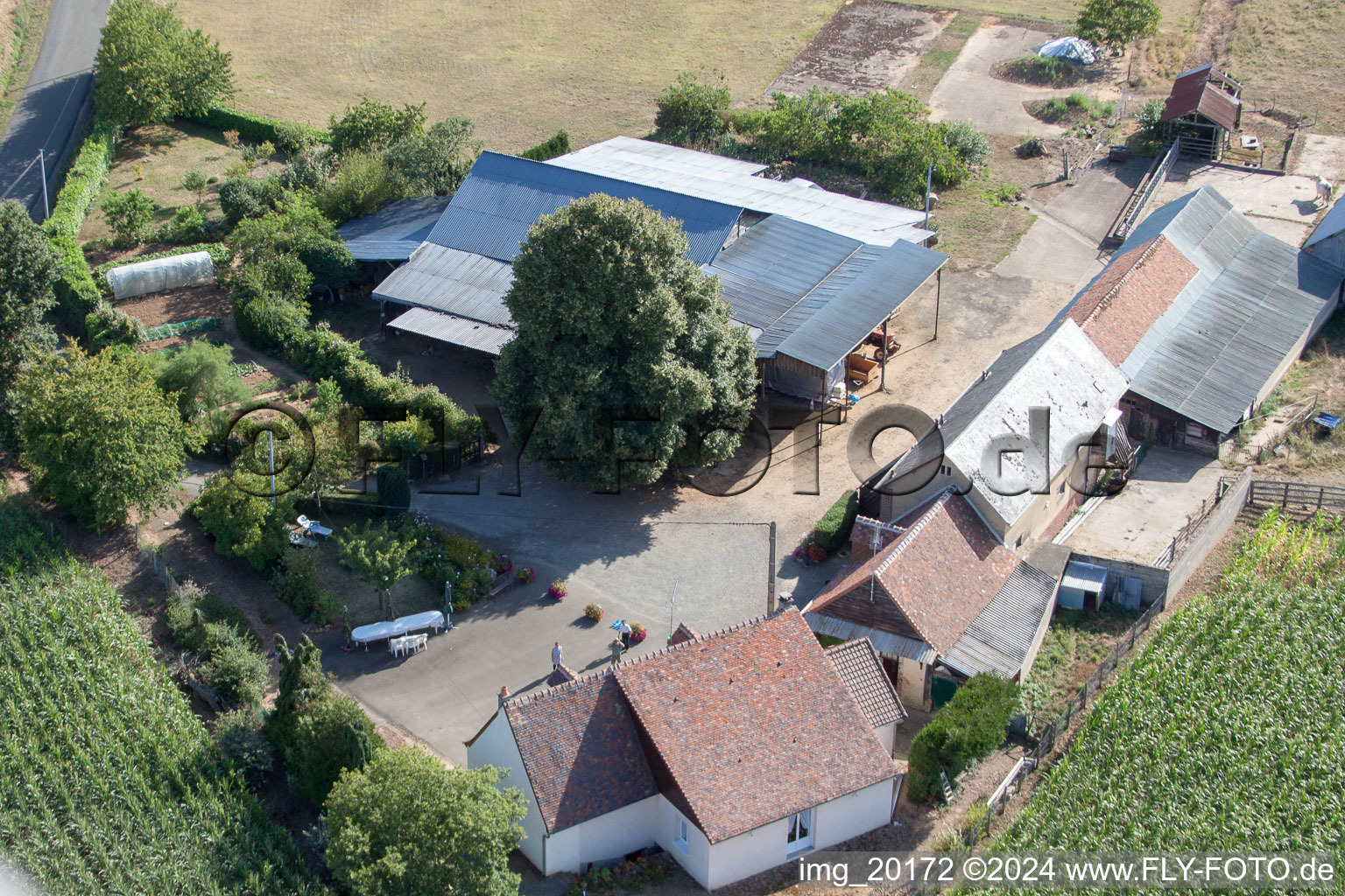 La Petite Franchaise (Apiculteur) in Coudrecieux in the state Sarthe, France from above