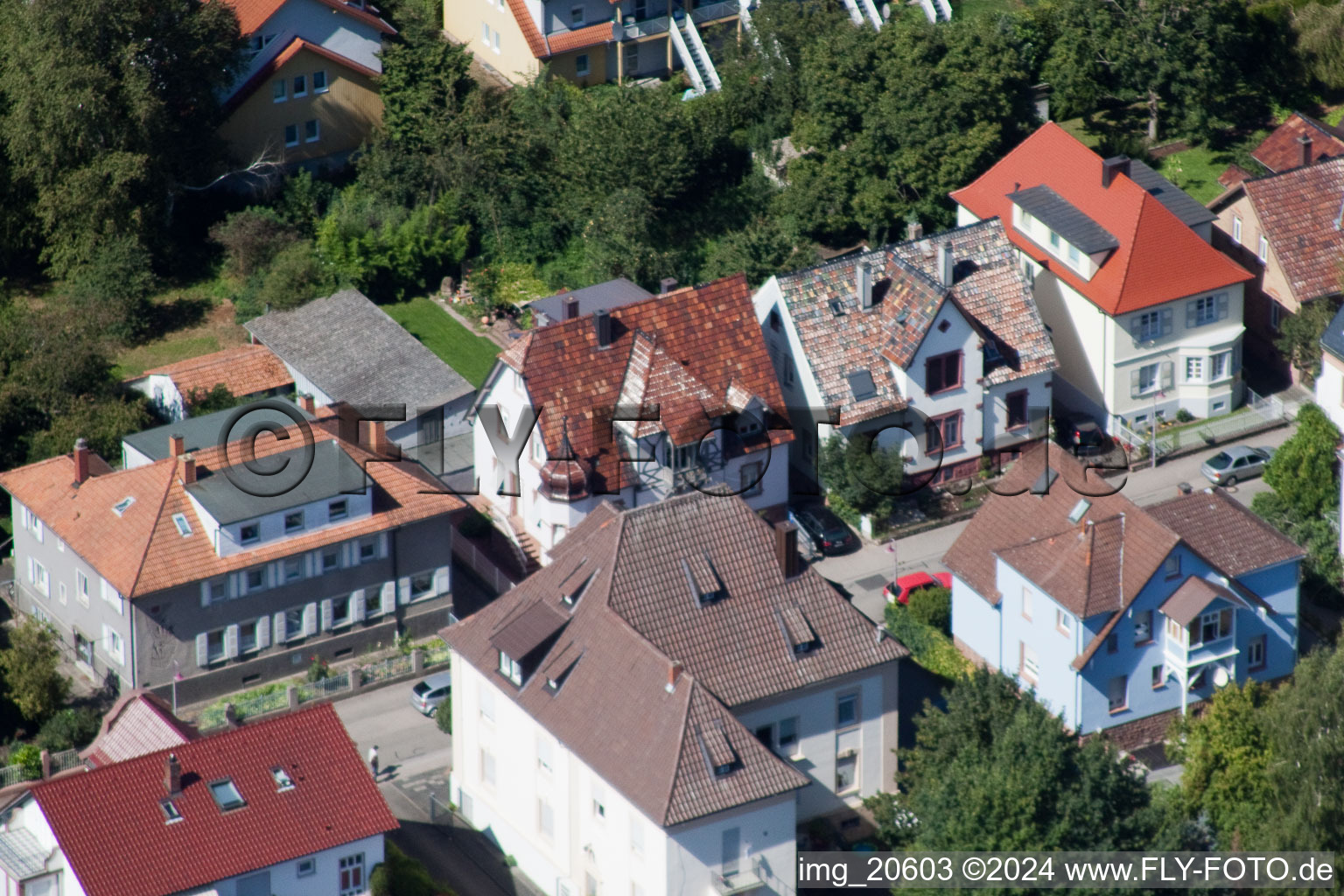 Bismarckstr in Kandel in the state Rhineland-Palatinate, Germany from above