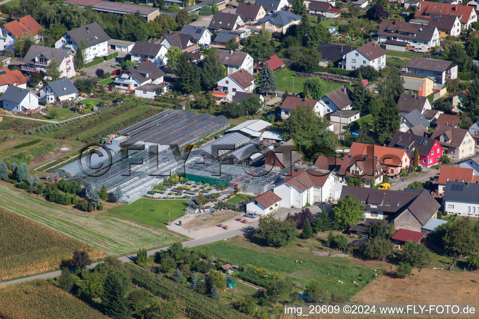 Glass roof surfaces in the greenhouse rows for Floriculture in the district Bodersweier in Kehl in the state Baden-Wurttemberg