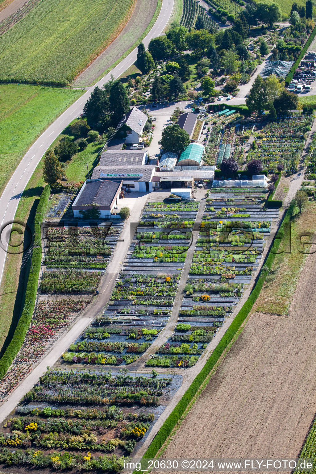 Glass roof surfaces in the greenhouse rows for Floriculture in the district Bodersweier in Kehl in the state Baden-Wurttemberg