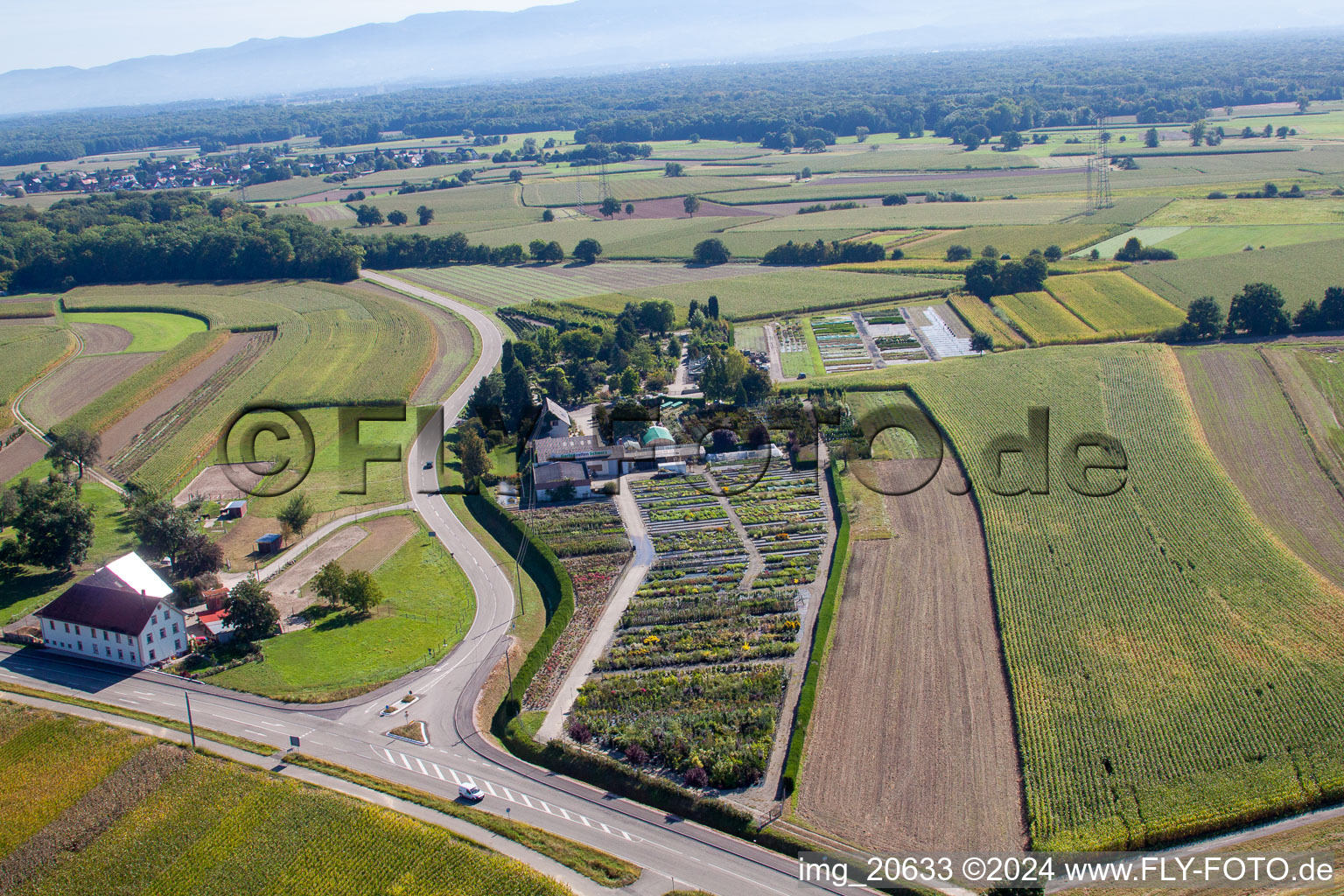 Aerial photograpy of Garden Times Black in the district Bodersweier in Kehl in the state Baden-Wuerttemberg, Germany