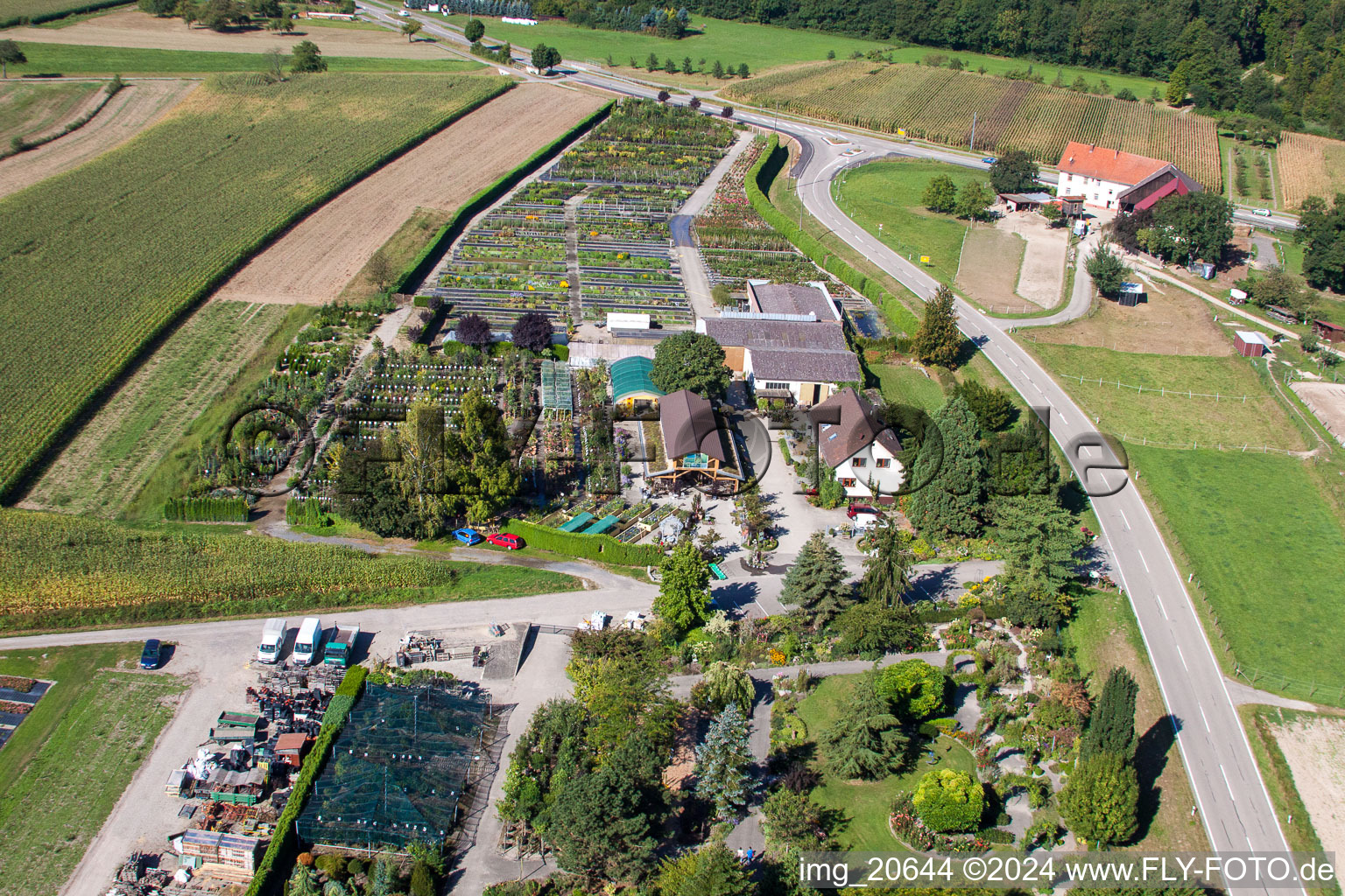 Aerial view of Glass roof surfaces in the greenhouse rows for Floriculture in the district Bodersweier in Kehl in the state Baden-Wurttemberg