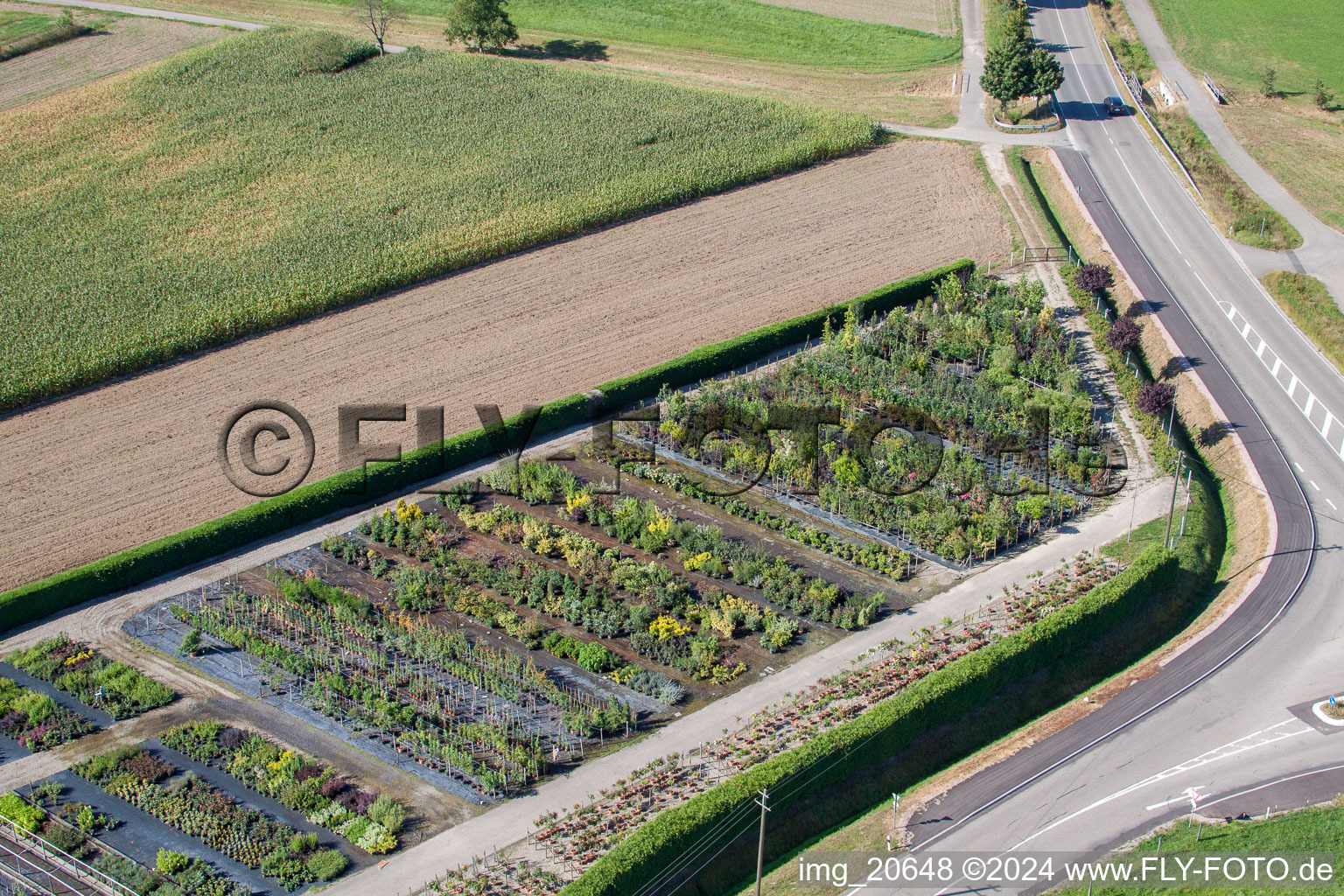 Garden Times Black in the district Bodersweier in Kehl in the state Baden-Wuerttemberg, Germany viewn from the air