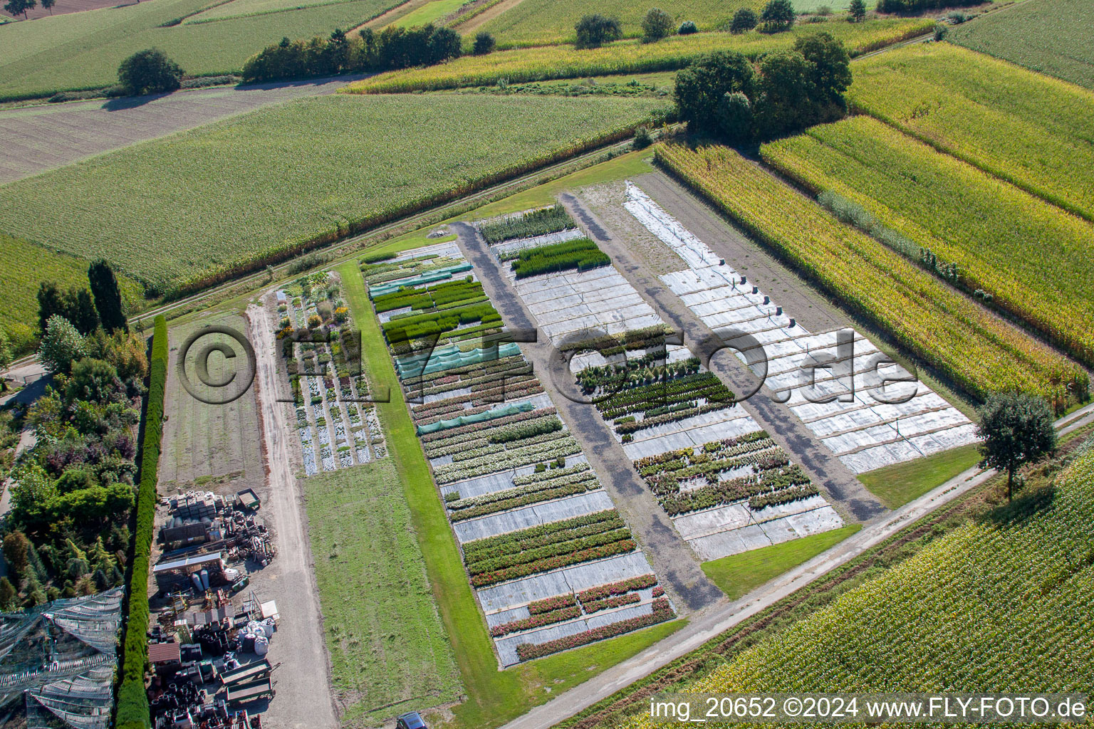 Drone recording of Garden Times Black in the district Bodersweier in Kehl in the state Baden-Wuerttemberg, Germany