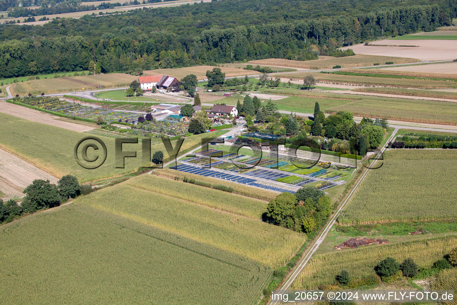 Drone image of Garden Times Black in the district Bodersweier in Kehl in the state Baden-Wuerttemberg, Germany