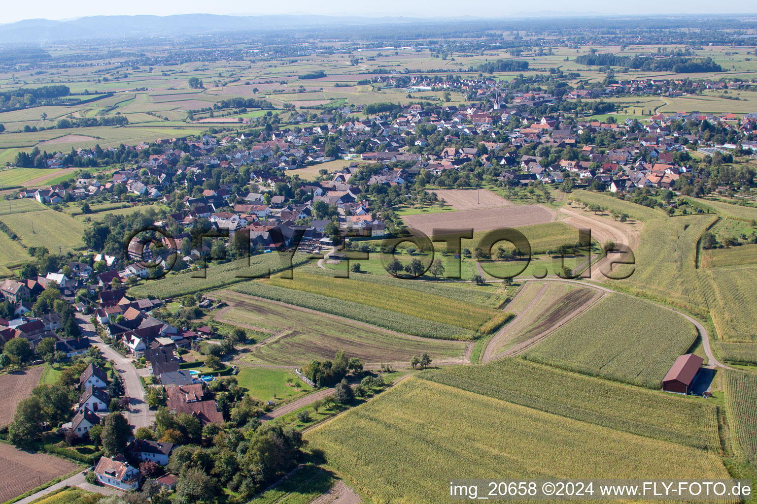 From the north in the district Legelshurst in Willstätt in the state Baden-Wuerttemberg, Germany