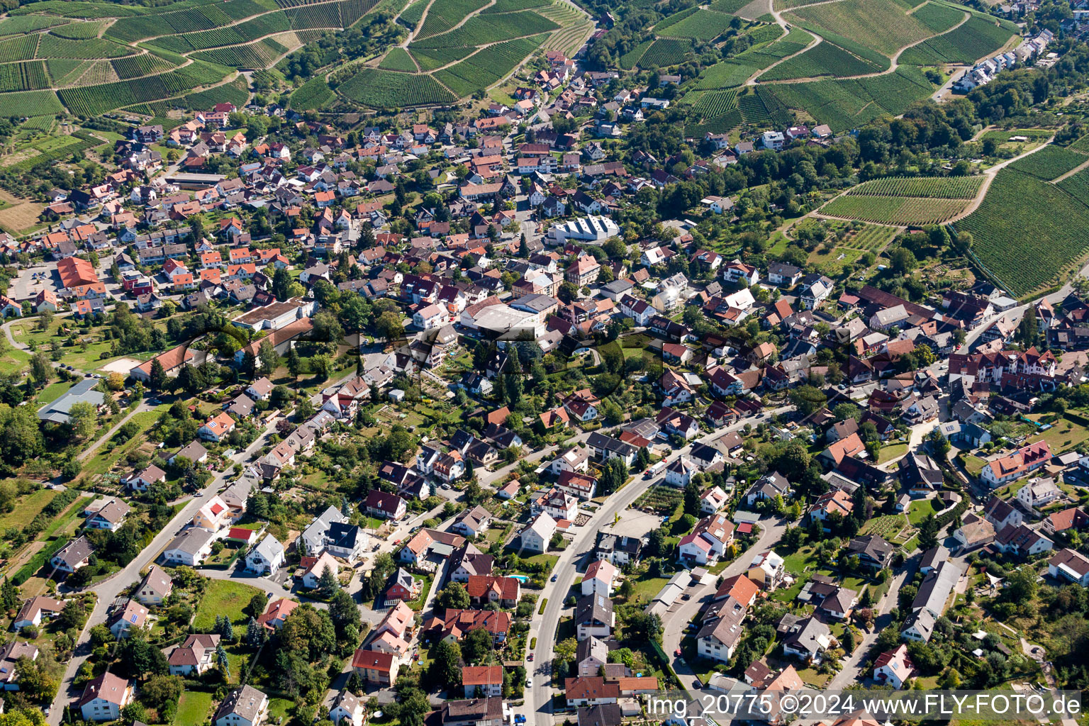 Village - view on the edge of wine-yards in Zell-Weierbach in the state Baden-Wurttemberg, Germany