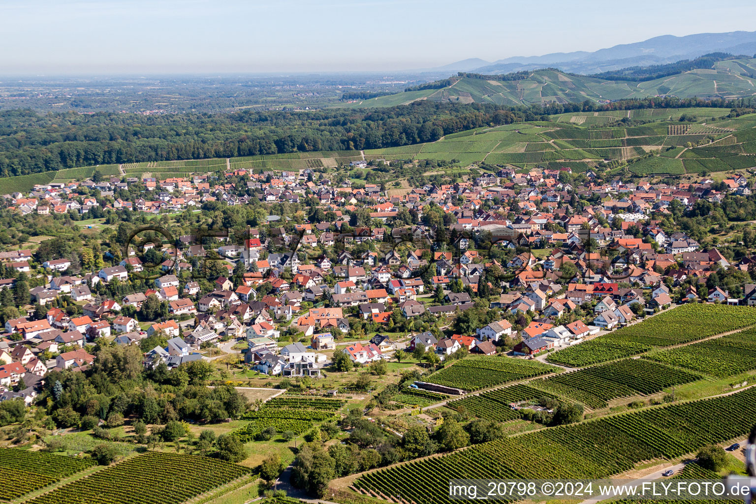 Town View between wine yards of Zell-Weierbach in Offenburg in the state Baden-Wurttemberg, Germany