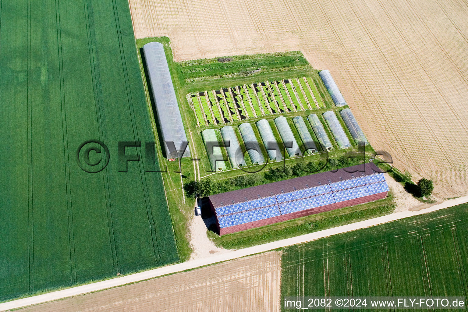 Greenhouses on the Höhenweg in Kandel in the state Rhineland-Palatinate, Germany