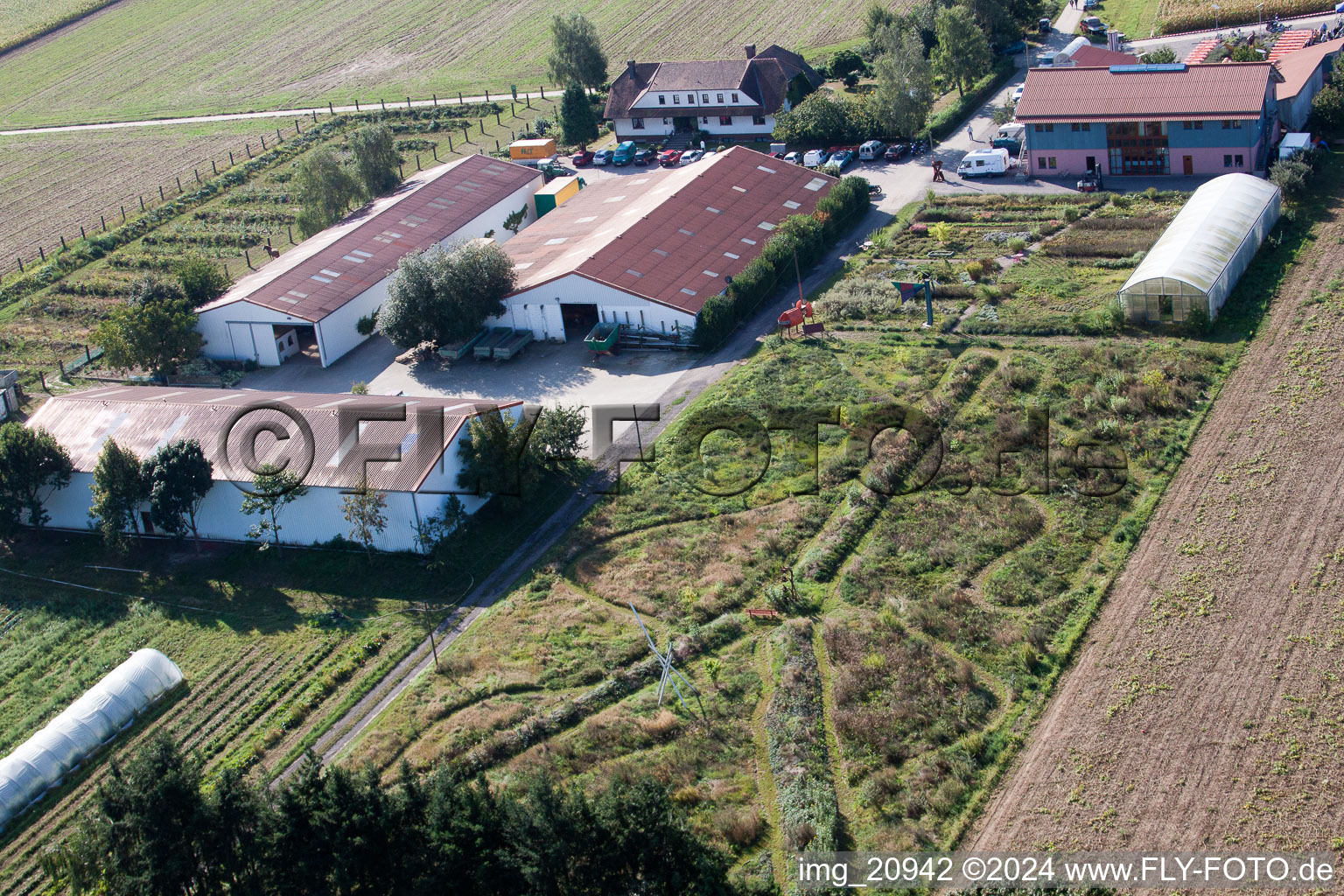 Aerial photograpy of Schossberghof in Minfeld in the state Rhineland-Palatinate, Germany