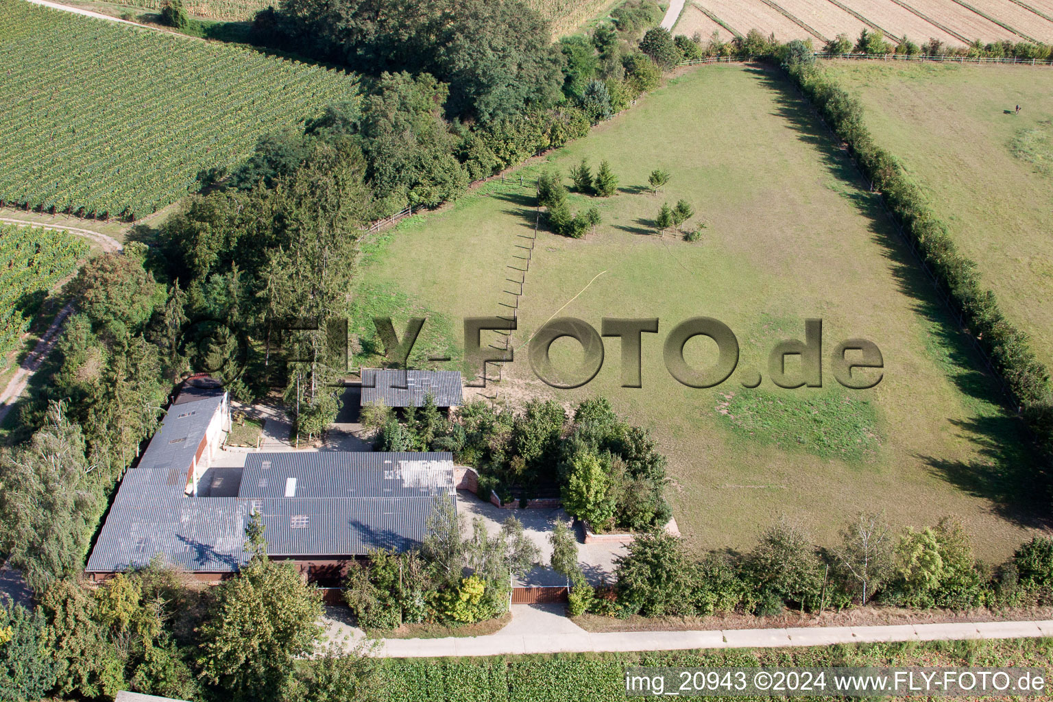 Aerial view of Trakehner-Friedrich in Minfeld in the state Rhineland-Palatinate, Germany