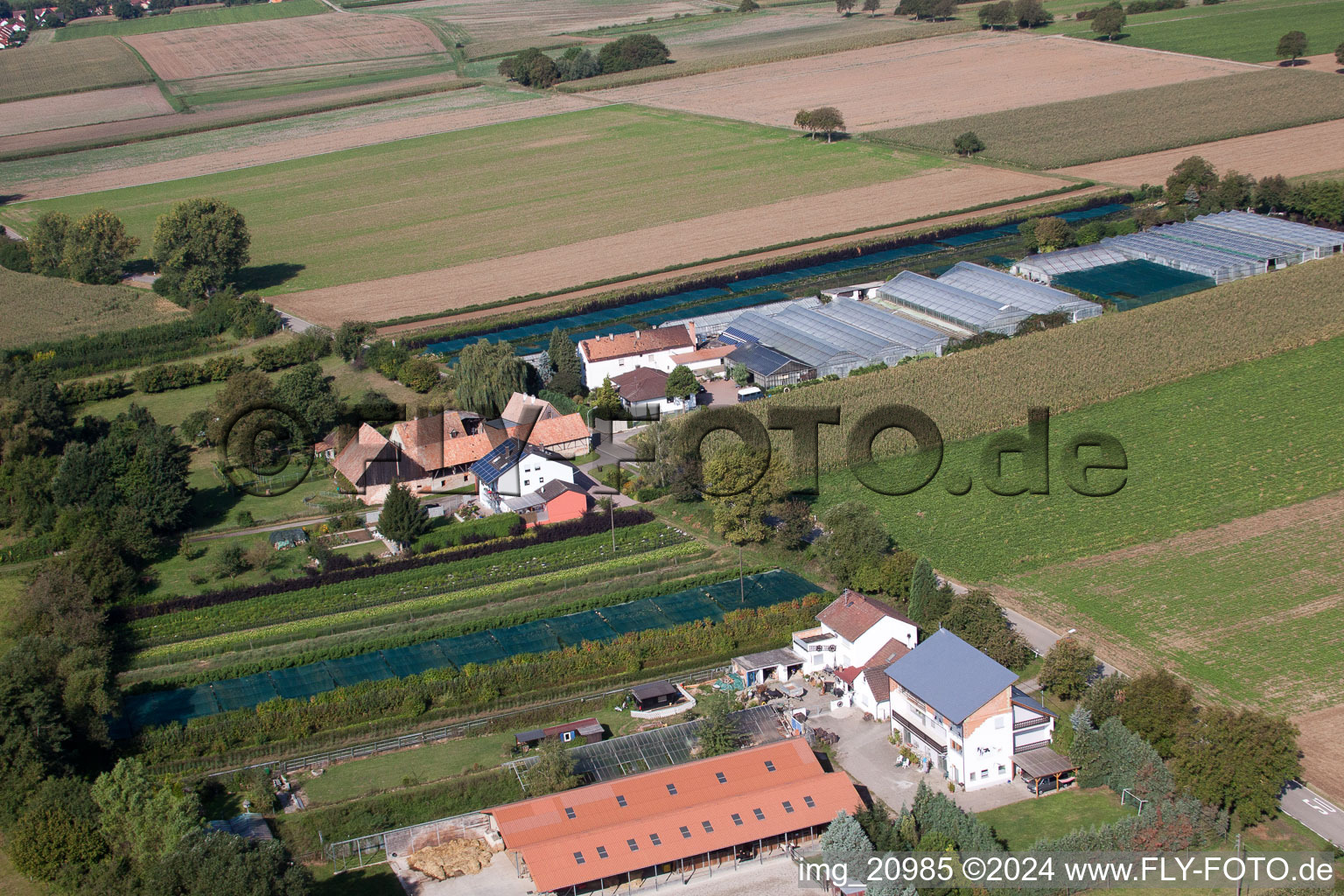 Drone recording of Vollmersweiler in the state Rhineland-Palatinate, Germany