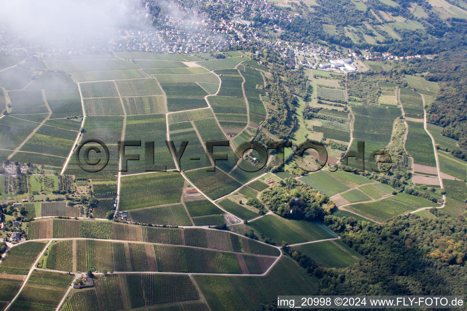 Sonnenberg in the district Schweigen in Schweigen-Rechtenbach in the state Rhineland-Palatinate, Germany seen from above