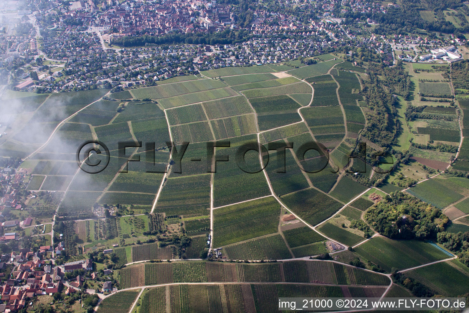 Bird's eye view of Sonnenberg in the district Schweigen in Schweigen-Rechtenbach in the state Rhineland-Palatinate, Germany