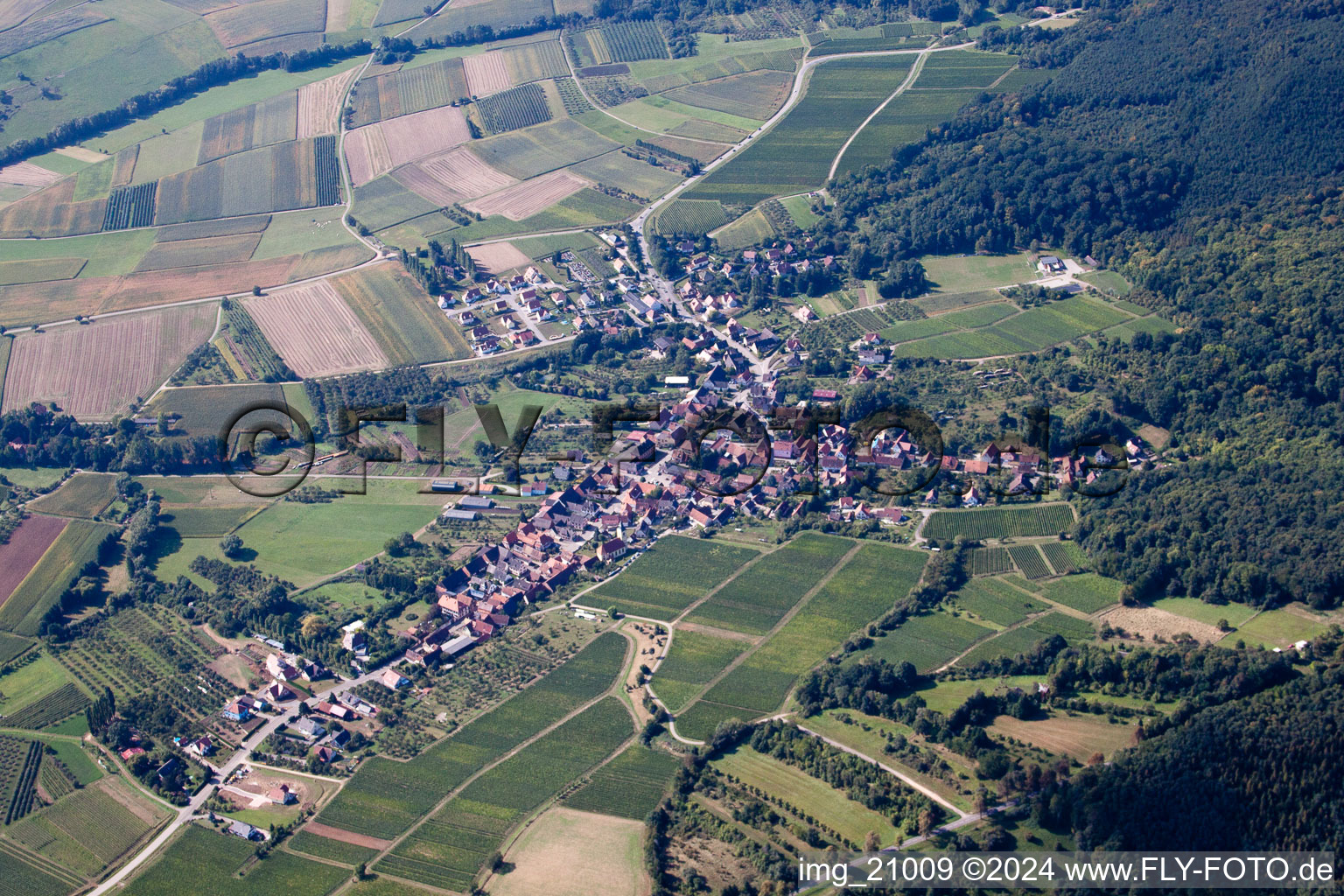 Rott in the state Bas-Rhin, France from a drone