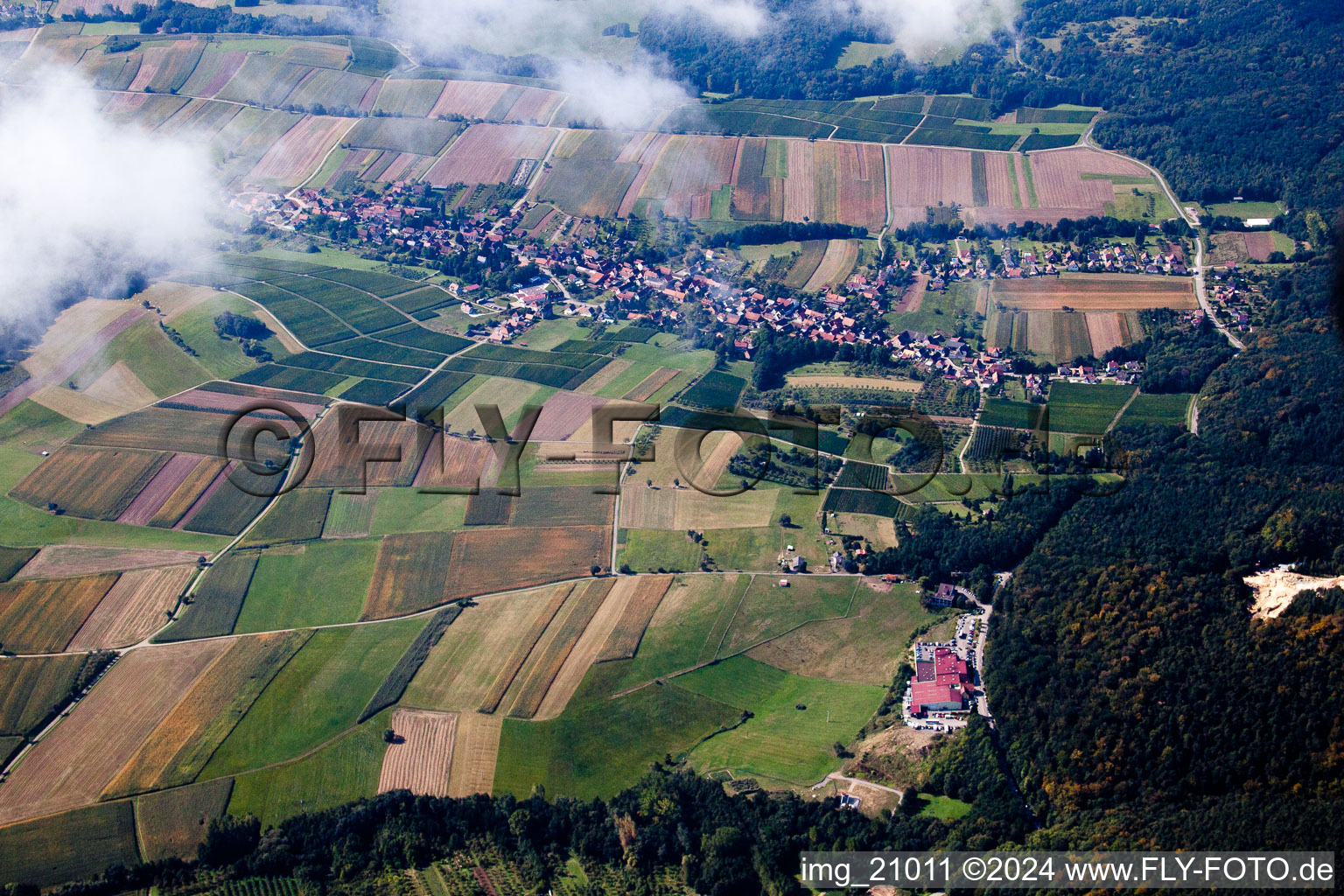 Aerial view of Winegrowers' cooperative in Cleebourg in the state Bas-Rhin, France