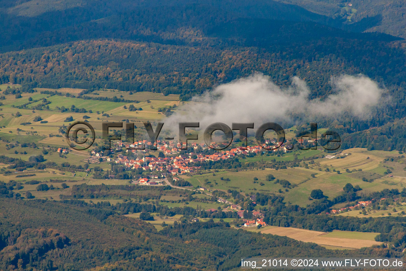 Wingen in the state Bas-Rhin, France from the plane