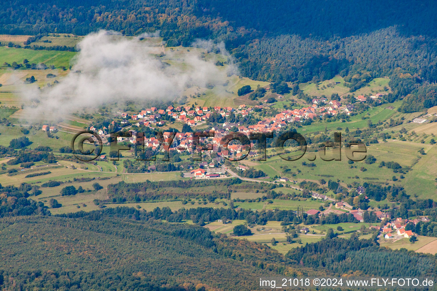 Bird's eye view of Wingen in the state Bas-Rhin, France