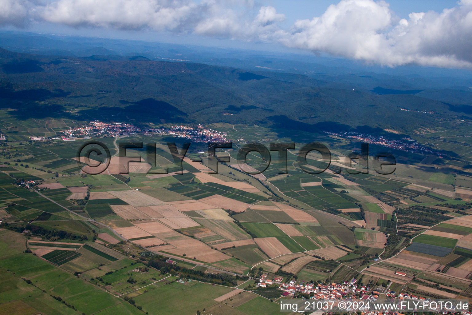 Bird's eye view of Schweighofen in the state Rhineland-Palatinate, Germany