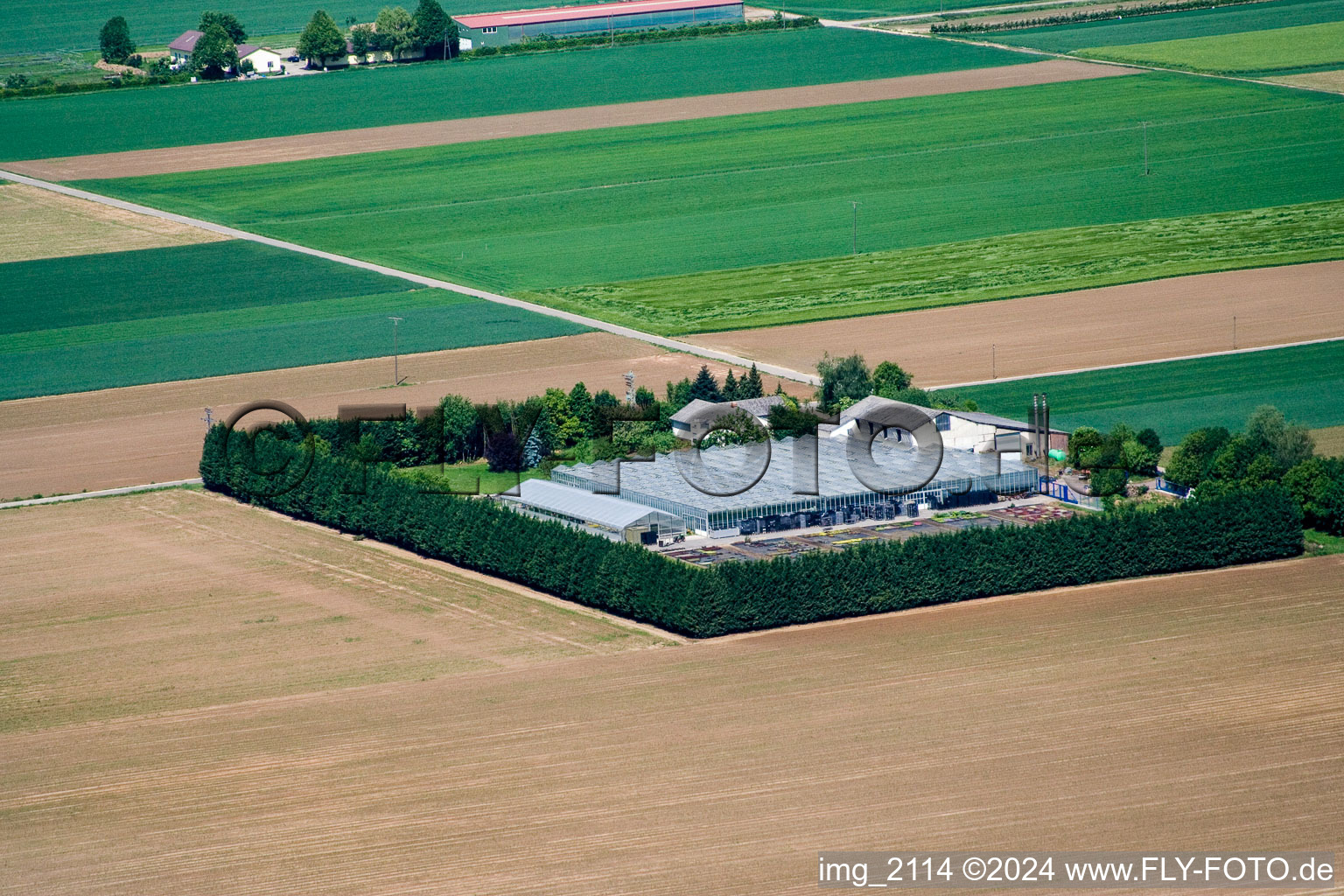 Blättnerhof in Steinweiler in the state Rhineland-Palatinate, Germany