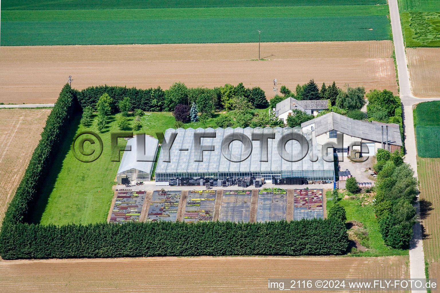 Aerial view of Blättnerhof in Steinweiler in the state Rhineland-Palatinate, Germany