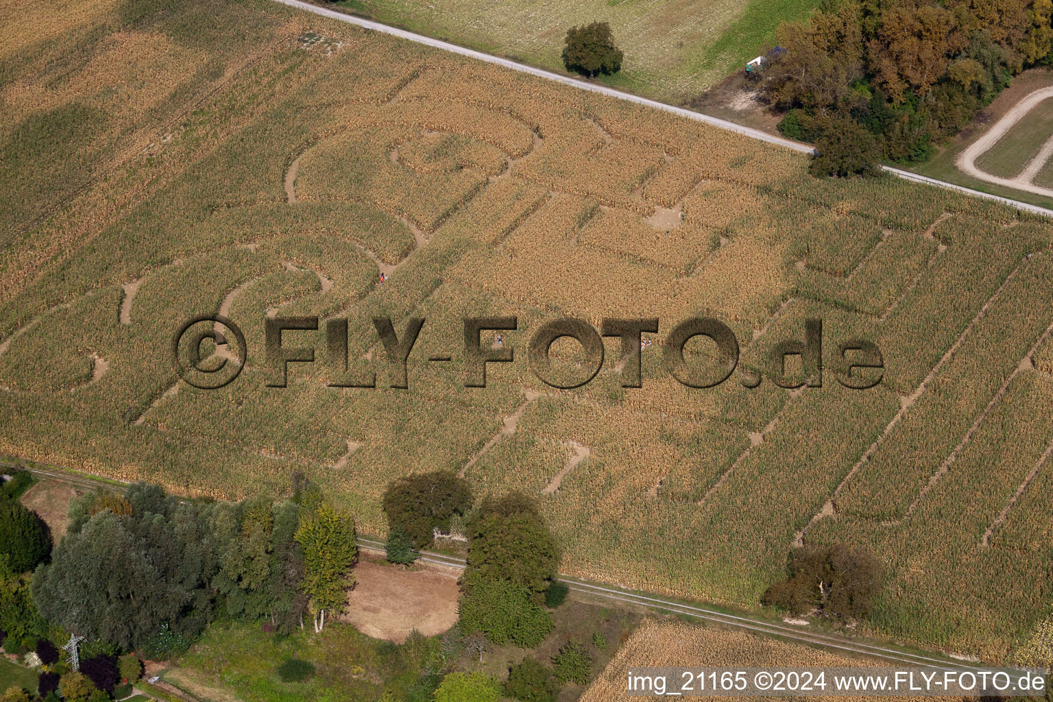 Leimersheim in the state Rhineland-Palatinate, Germany seen from a drone