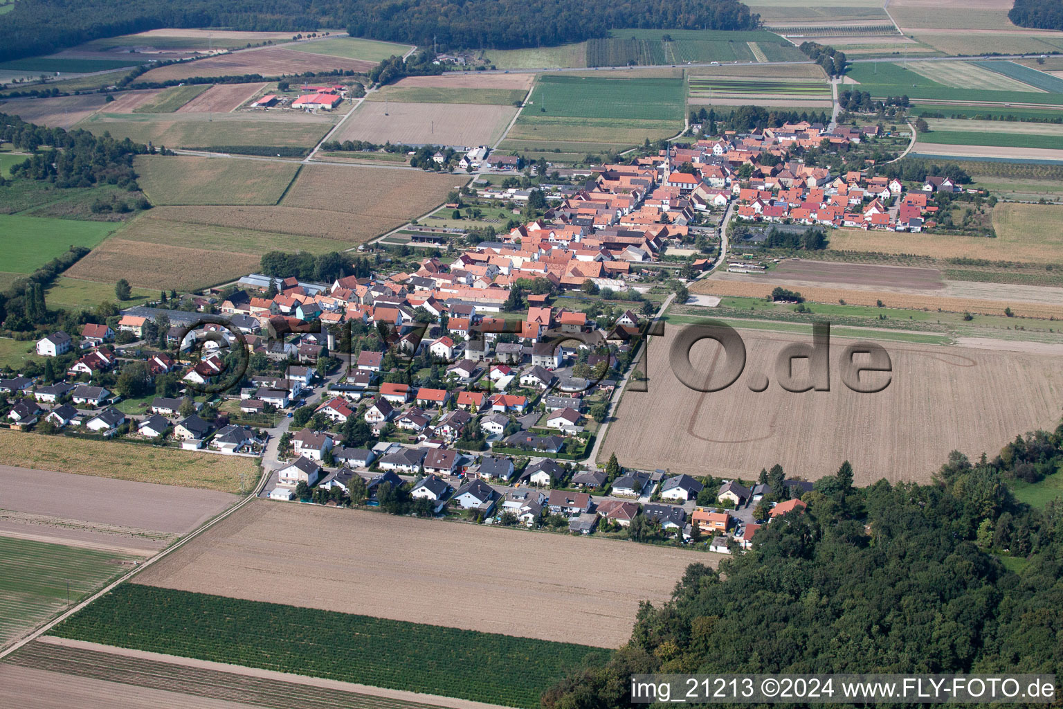 Erlenbach bei Kandel in the state Rhineland-Palatinate, Germany seen from a drone