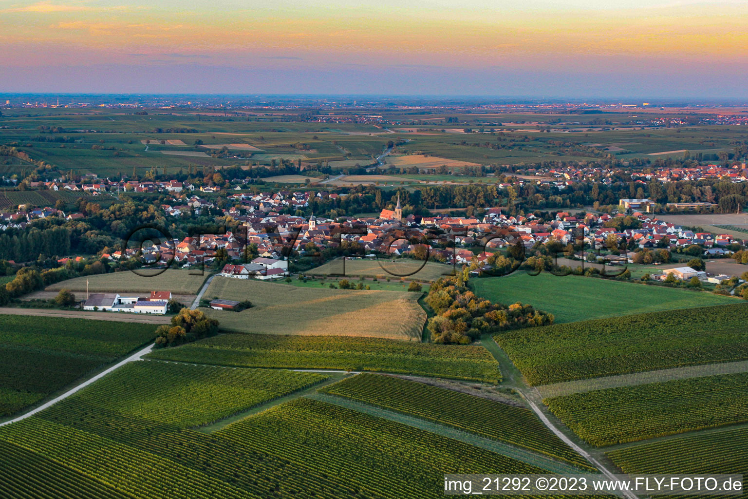 District Ingenheim in Billigheim-Ingenheim in the state Rhineland-Palatinate, Germany from the drone perspective
