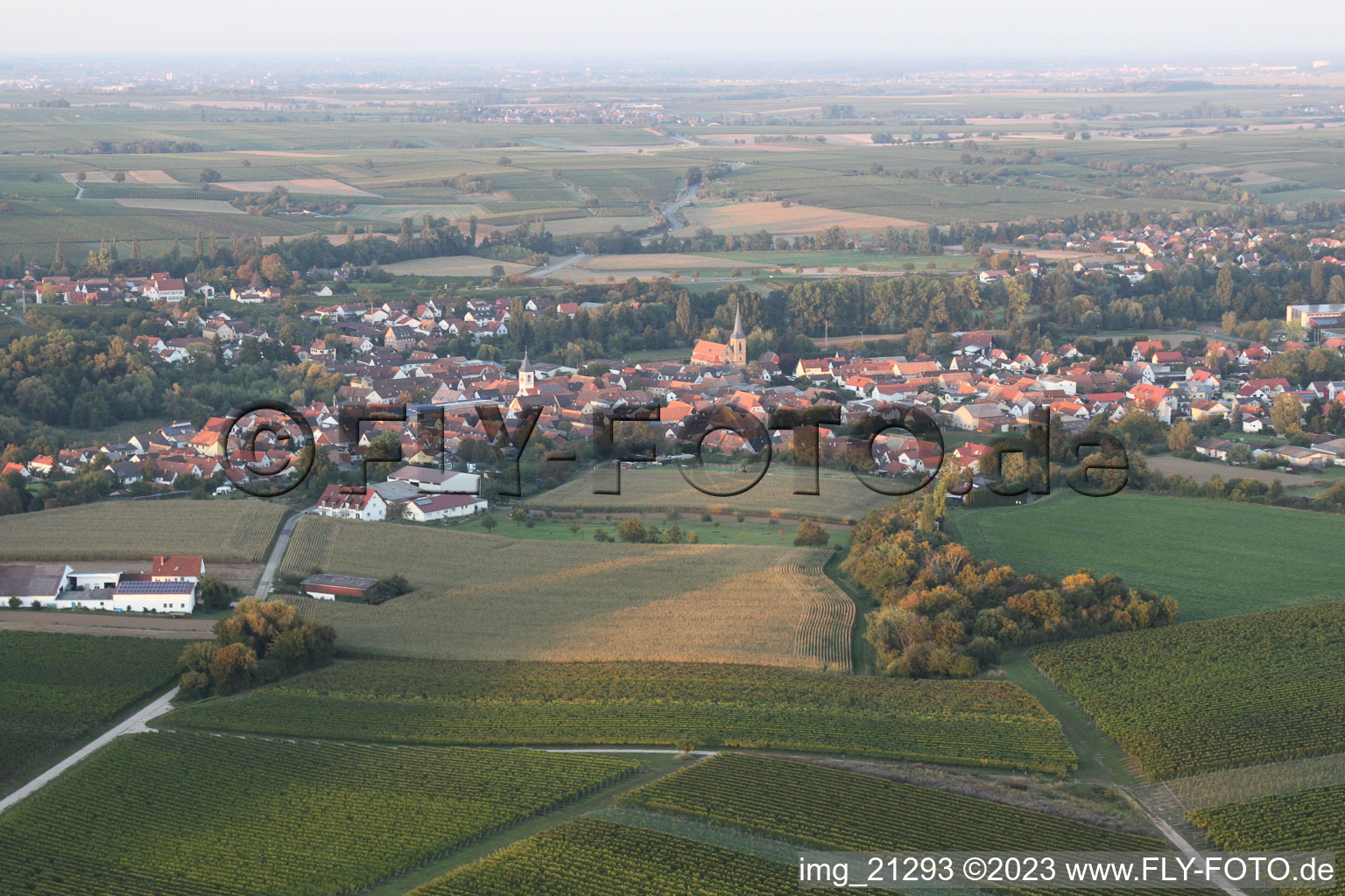 District Ingenheim in Billigheim-Ingenheim in the state Rhineland-Palatinate, Germany from a drone