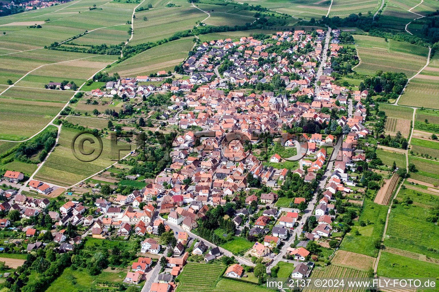 Aerial view of Town View of the streets and houses of the residential areas in the district Arzheim in Landau in der Pfalz in the state Rhineland-Palatinate