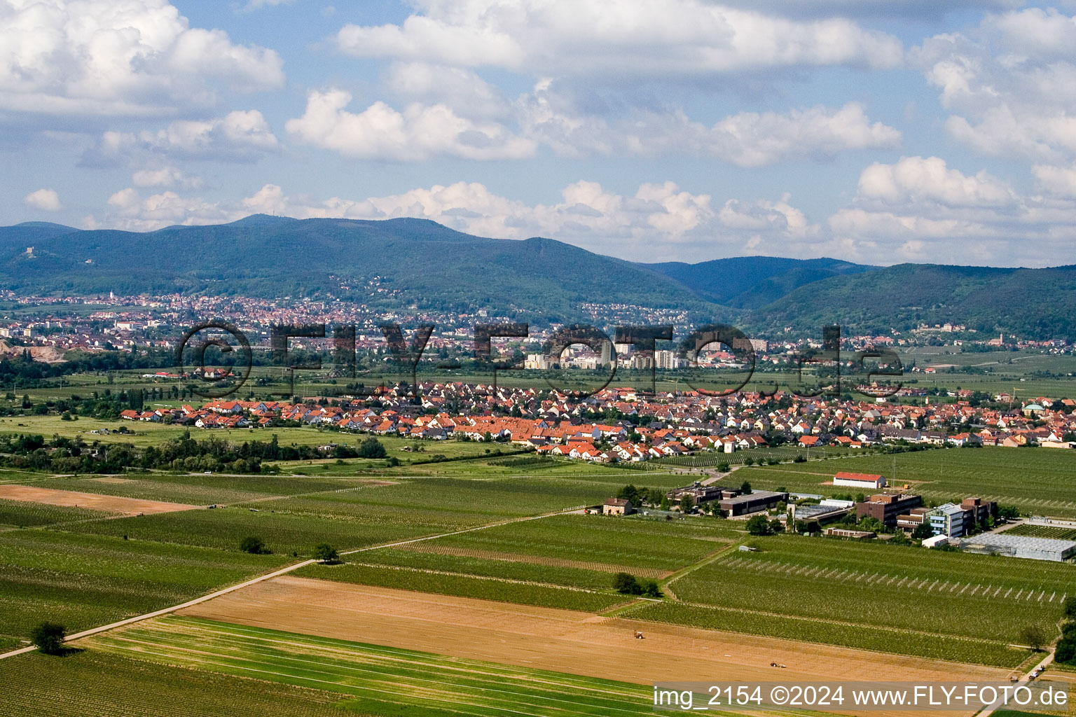 Drone recording of District Mußbach in Neustadt an der Weinstraße in the state Rhineland-Palatinate, Germany