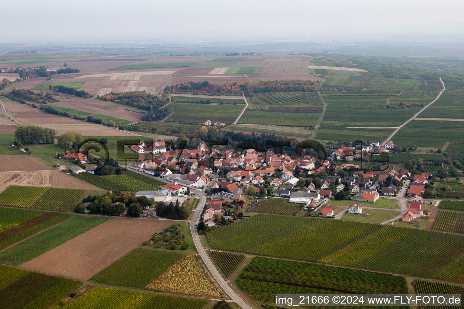 Eppelsheim in the state Rhineland-Palatinate, Germany from a drone