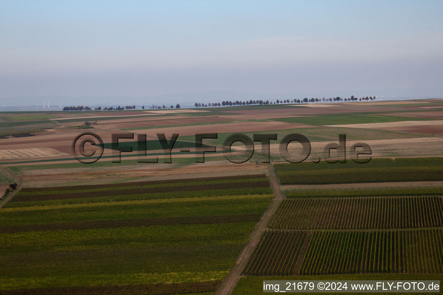 Eppelsheim in the state Rhineland-Palatinate, Germany from the plane