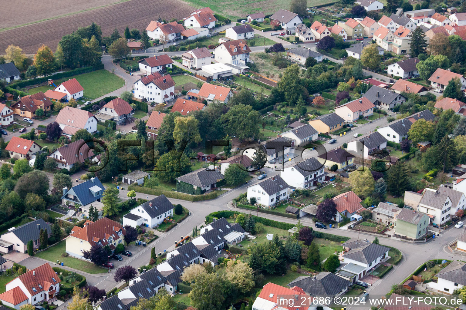 Eppelsheim in the state Rhineland-Palatinate, Germany from a drone