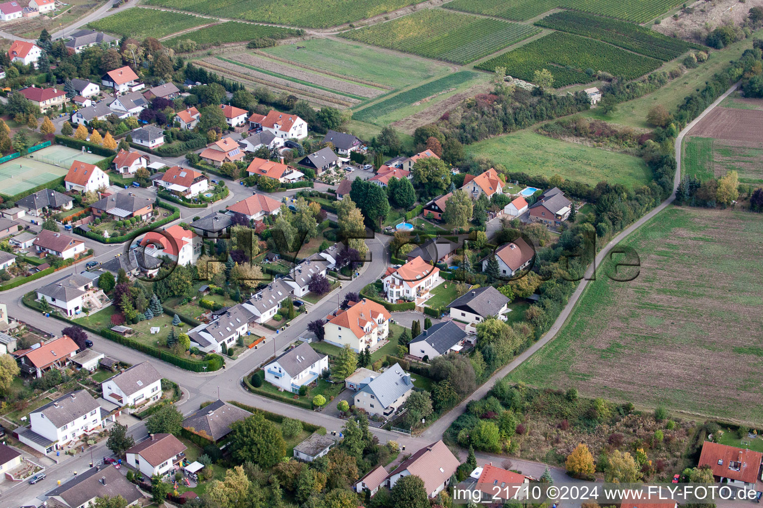 Eppelsheim in the state Rhineland-Palatinate, Germany from above