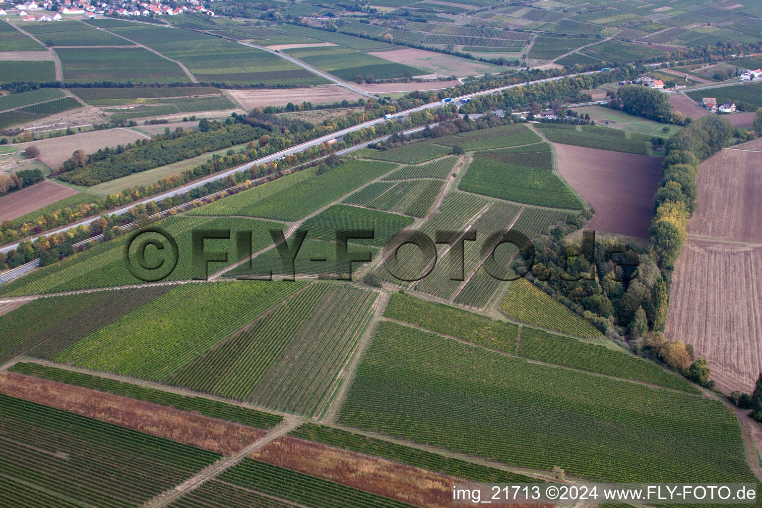 Eppelsheim in the state Rhineland-Palatinate, Germany from above