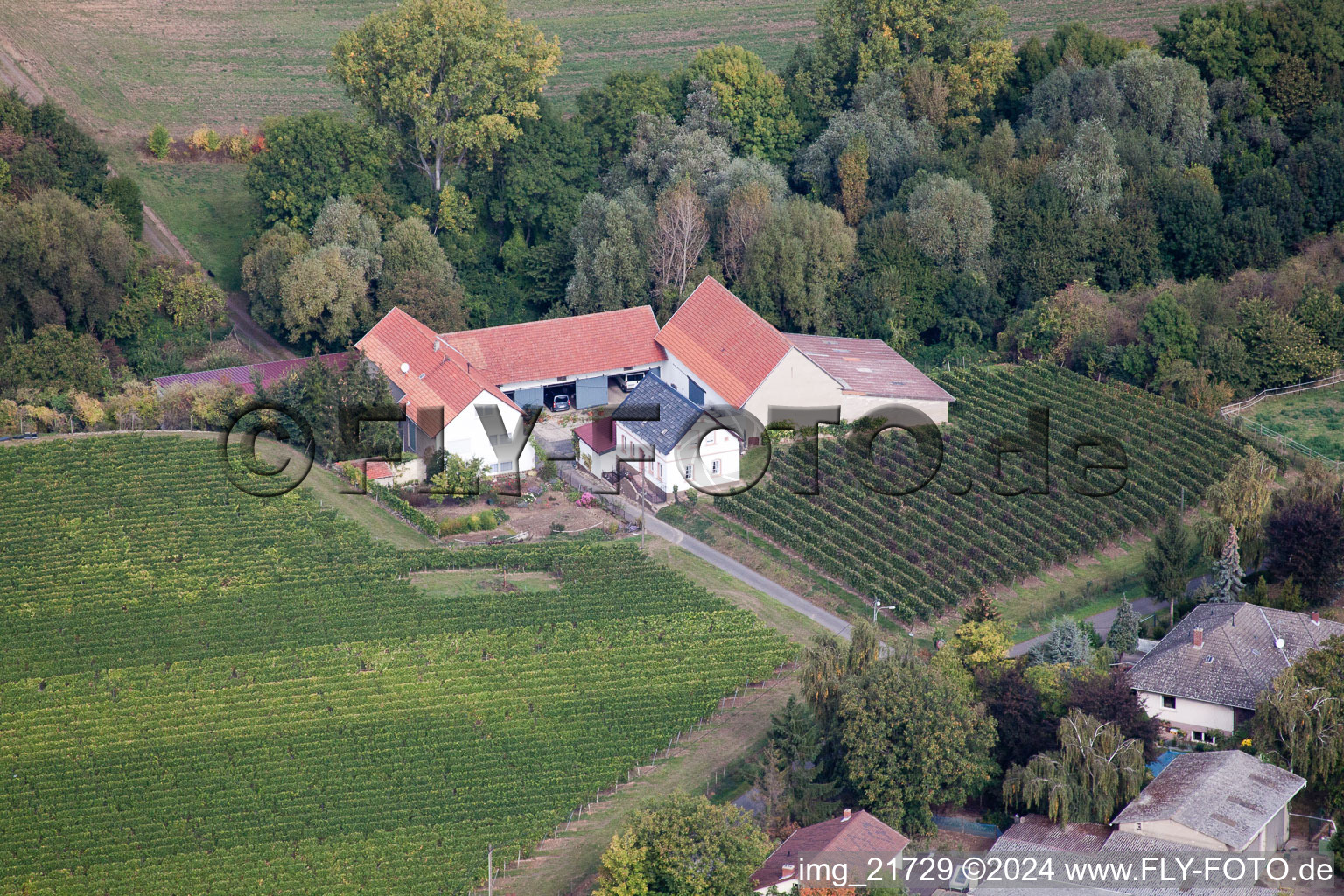 Oblique view of Ober-Flörsheim in the state Rhineland-Palatinate, Germany