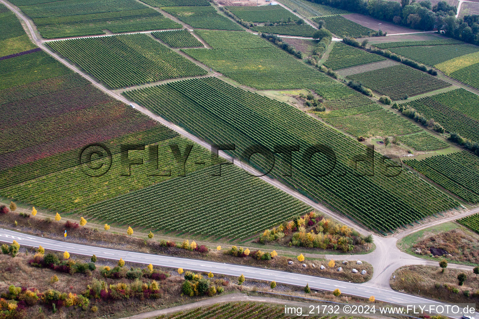 Ober-Flörsheim in the state Rhineland-Palatinate, Germany from above