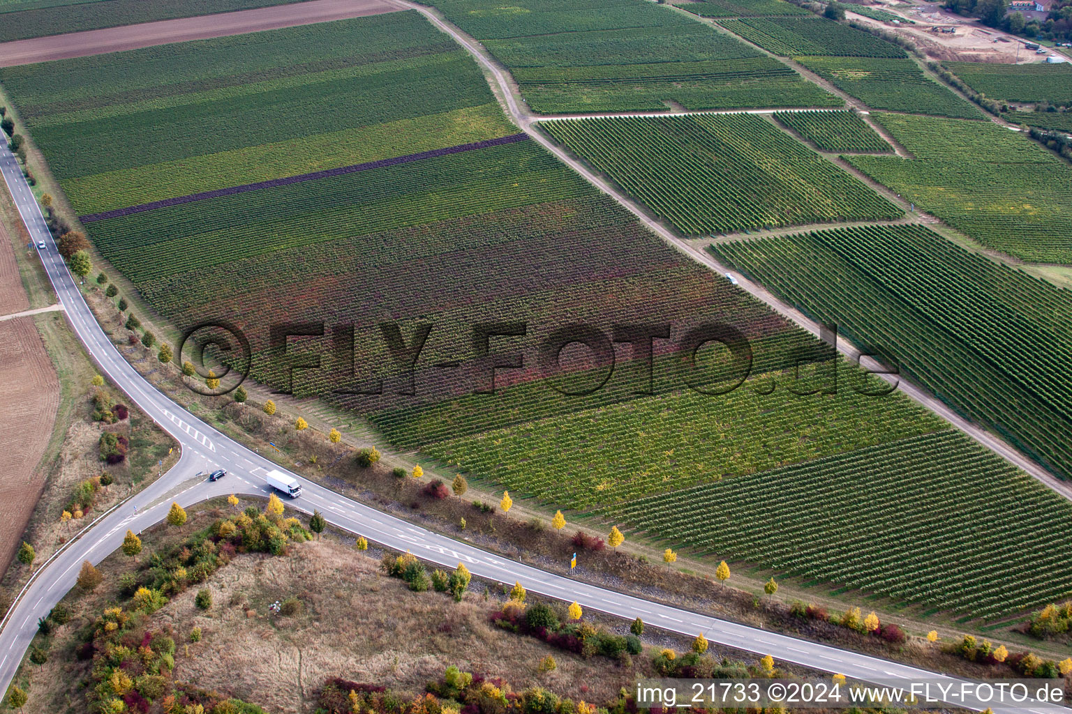 Ober-Flörsheim in the state Rhineland-Palatinate, Germany out of the air