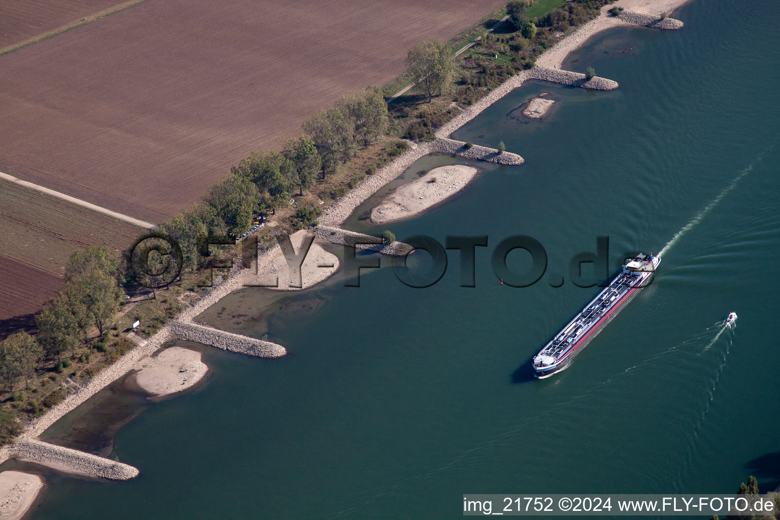 Frankenthal (Palatinate), low water on the Rhine in Worms in the state Rhineland-Palatinate, Germany