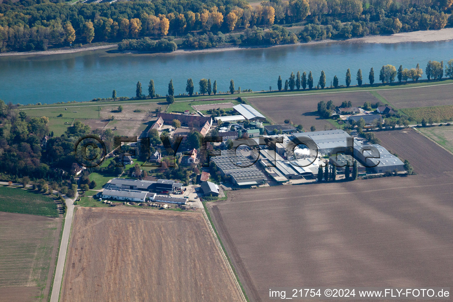 Homestead of a farm Petersau on the shore of the Rhine river in the district Petersau in Frankenthal (Pfalz) in the state Rhineland-Palatinate