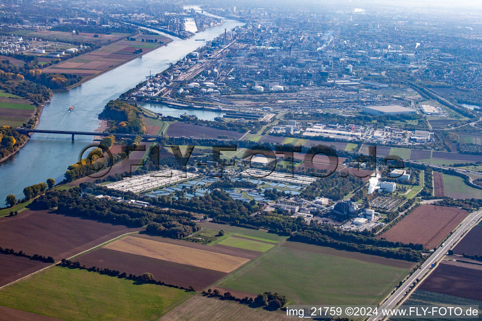 BASF sewage treatment plant in the district Mörsch in Frankenthal in the state Rhineland-Palatinate, Germany from a drone