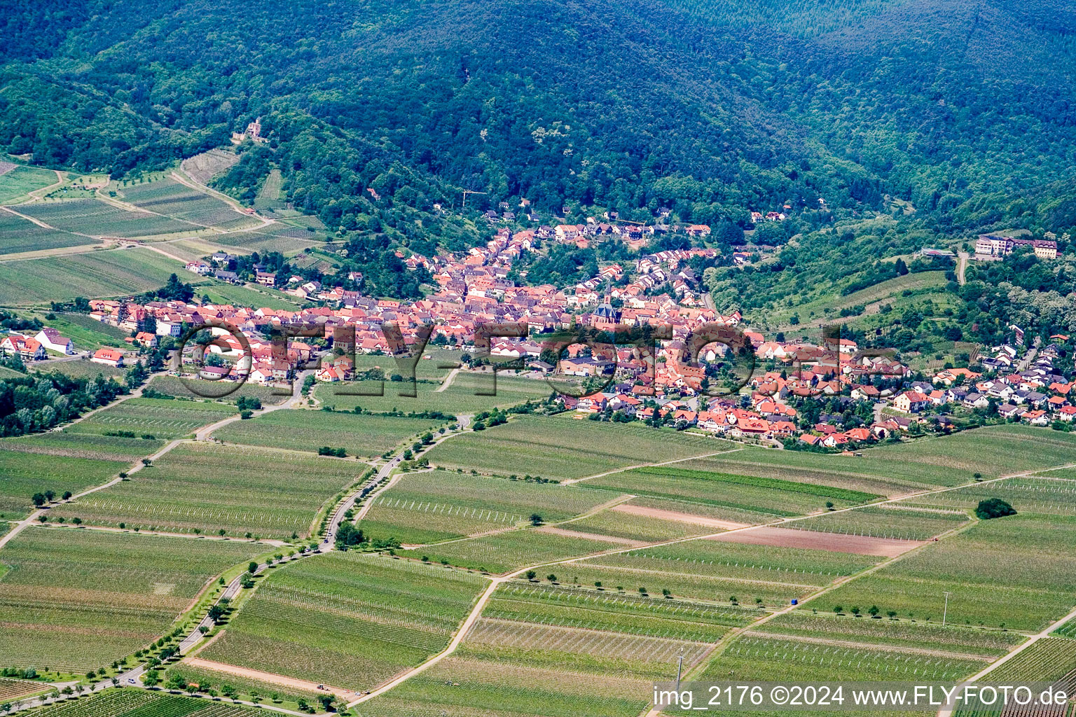 Sankt Martin in the state Rhineland-Palatinate, Germany seen from above