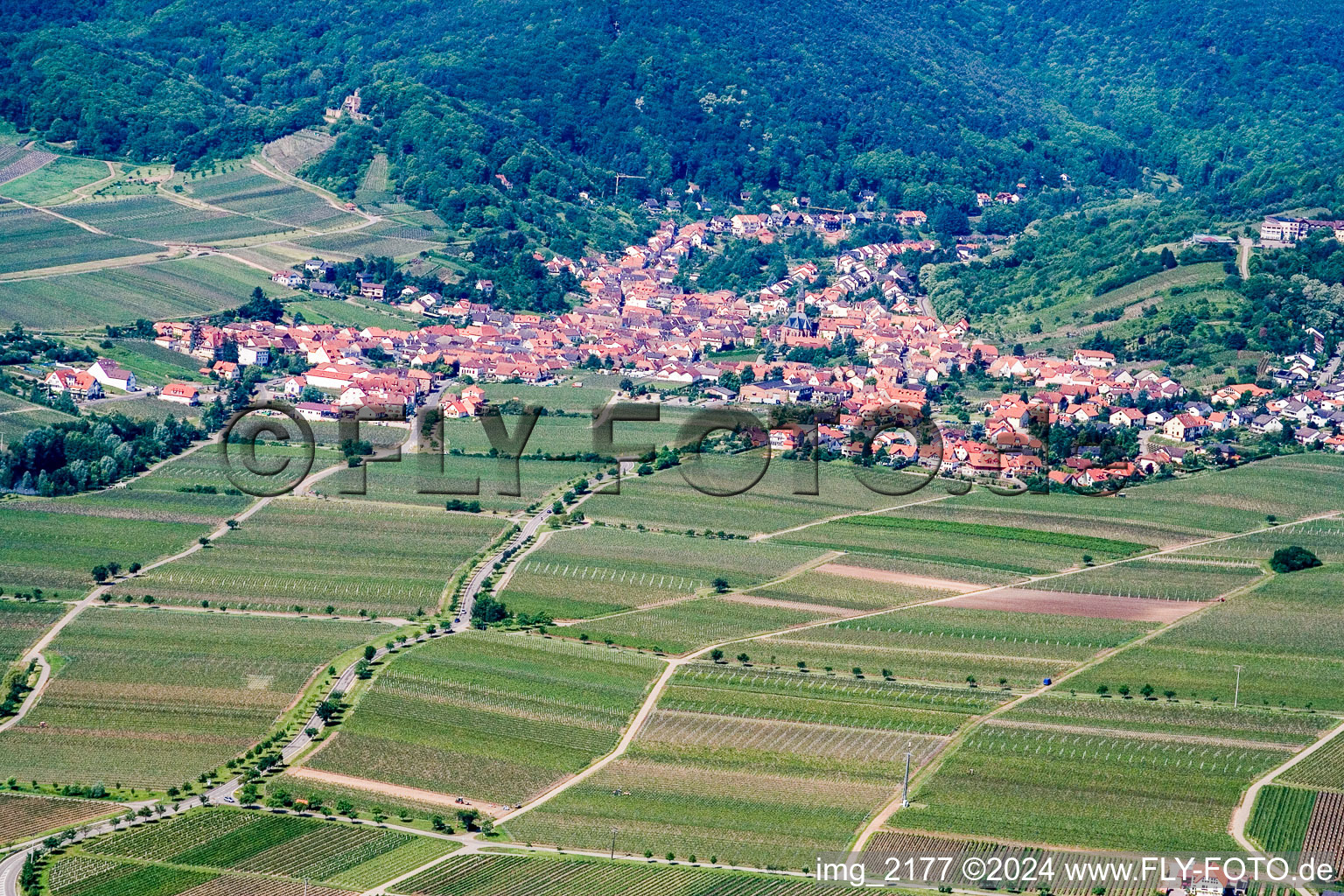 Sankt Martin in the state Rhineland-Palatinate, Germany from the plane