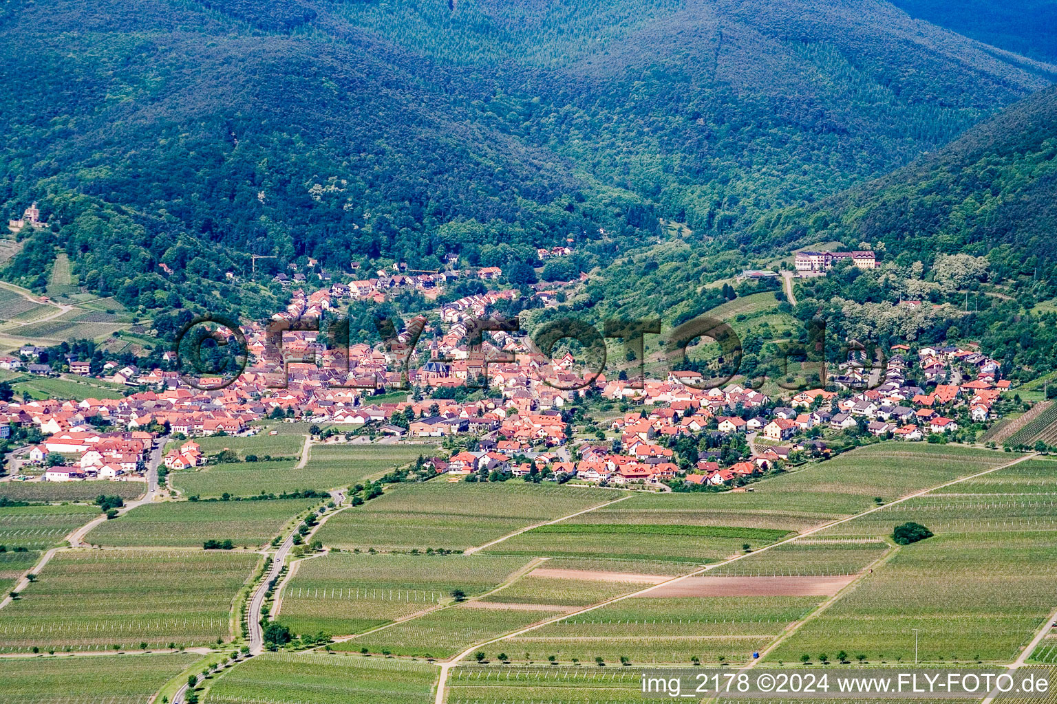 Bird's eye view of Sankt Martin in the state Rhineland-Palatinate, Germany