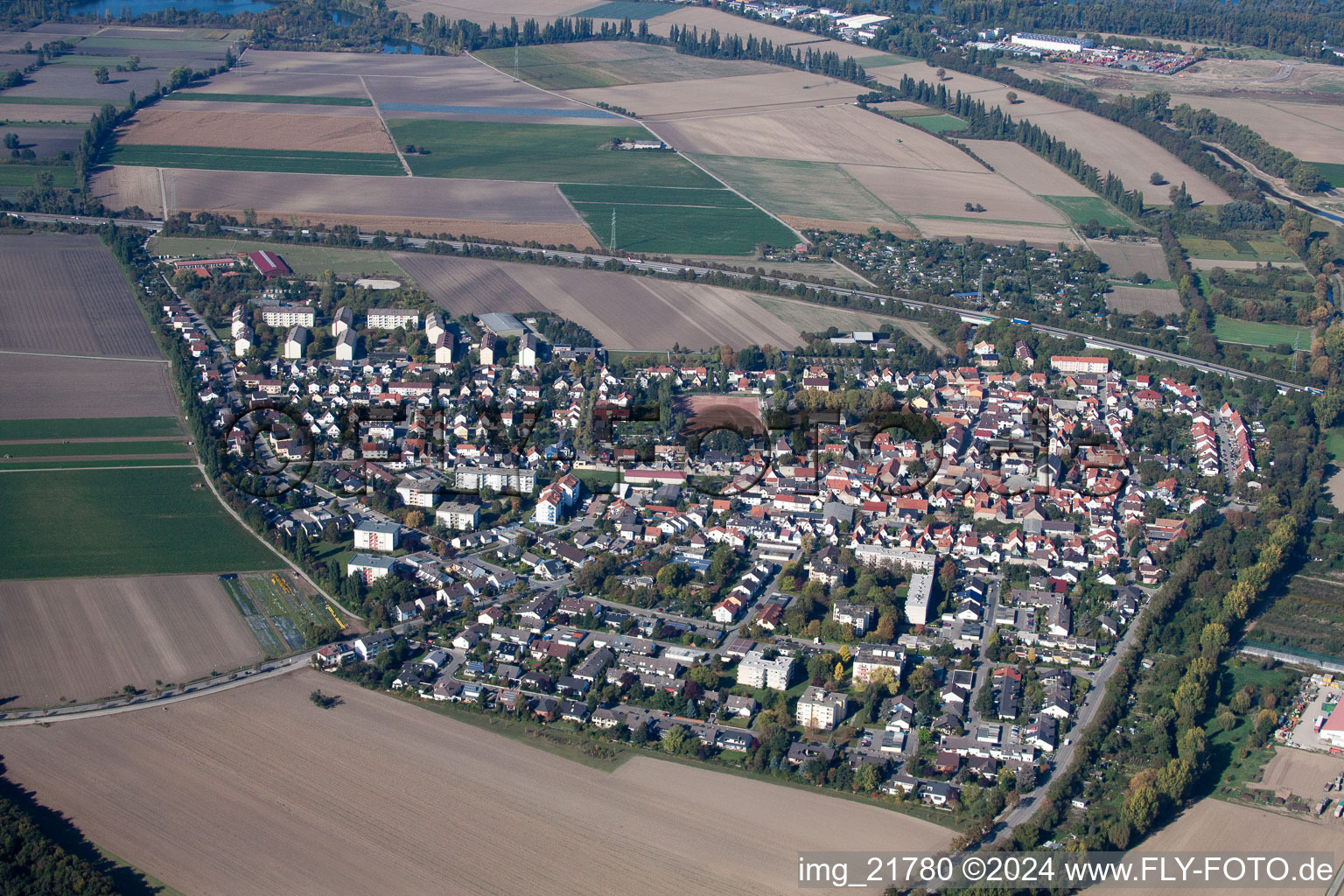 Oblique view of District Mörsch in Frankenthal in the state Rhineland-Palatinate, Germany