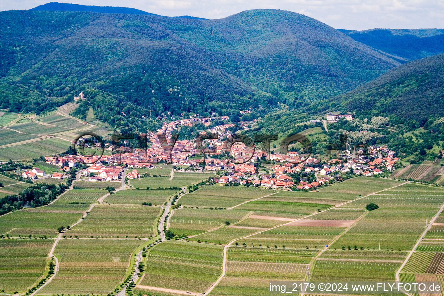 Sankt Martin in the state Rhineland-Palatinate, Germany viewn from the air