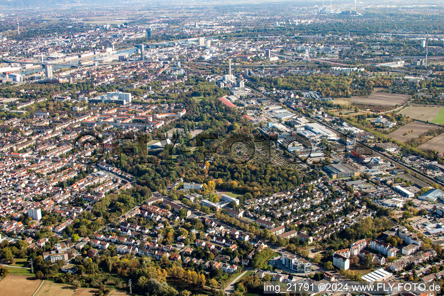 Oblique view of District Friesenheim in Ludwigshafen am Rhein in the state Rhineland-Palatinate, Germany