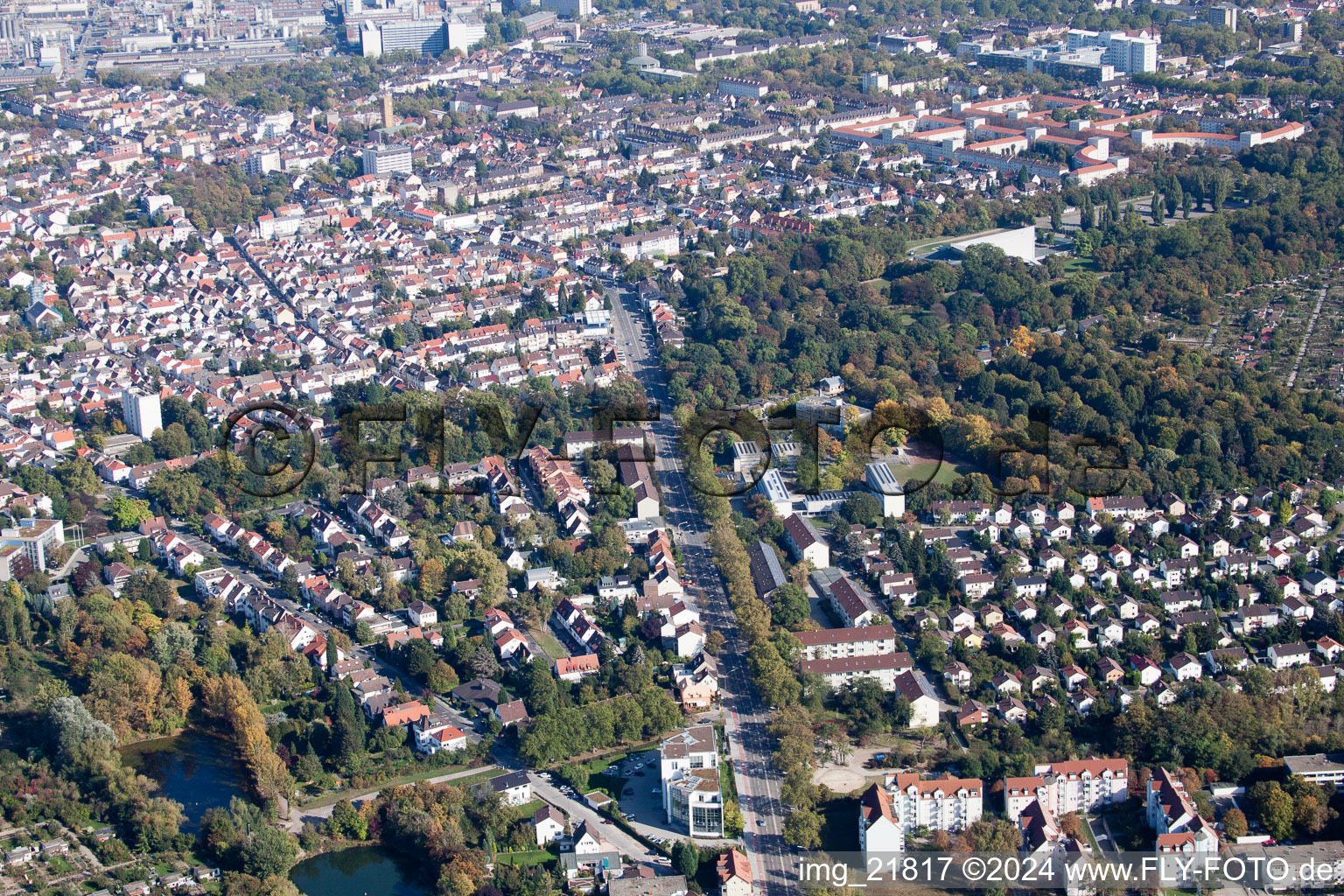 Sternstr in the district Friesenheim in Ludwigshafen am Rhein in the state Rhineland-Palatinate, Germany